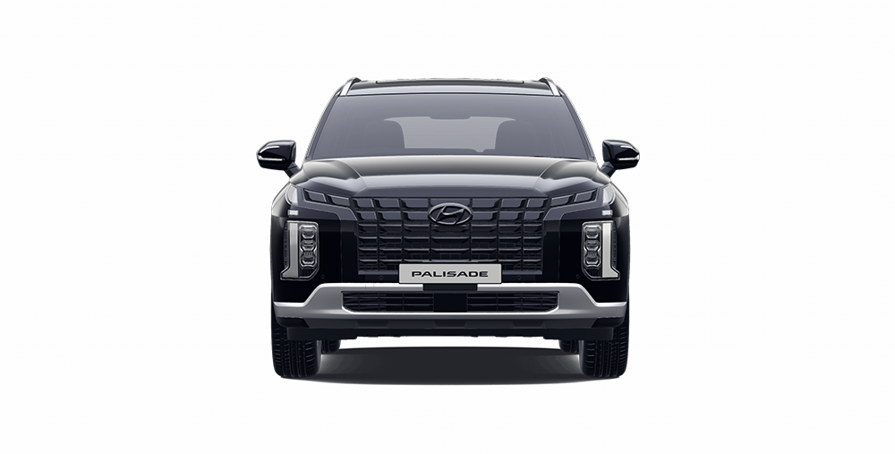 Hyundai Palisade Abyss Black Pearl
